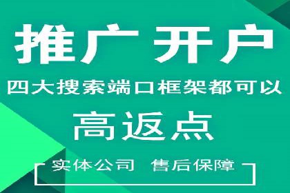 信息流广告投放实战指南：案例解析